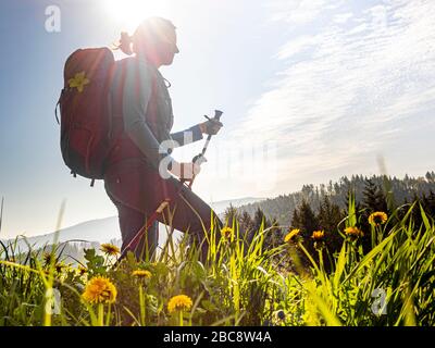 Wandern auf dem Zweilersteig, Kohlenbacher Tal, Blick Richtung Kandel Stockfoto