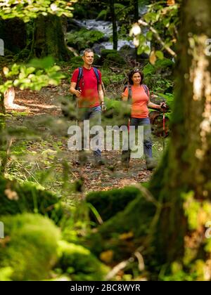 Wandern auf dem zweiten Talweg, Teichschlucht zwischen Gütenbach und Wildgutach Stockfoto