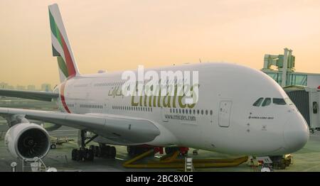 DUBAI, VAE - 02. FEBRUAR 2020: Flugzeuge Airbus A380-800 von Emirates Airlines auf dem Dubai International Airport Stockfoto