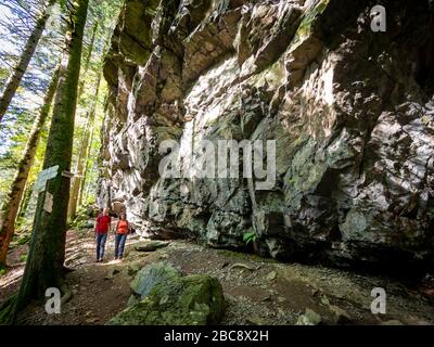 Wandern auf dem zweiten Talweg, Teichschlucht zwischen Gütenbach und Wildgutach Stockfoto