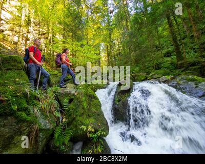 Wandern auf dem zweiten Talweg, Teichschlucht zwischen Gütenbach und Wildgutach Stockfoto