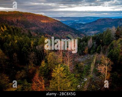 Wandern auf dem Zweilersteig, Rohrhardsberg Stockfoto