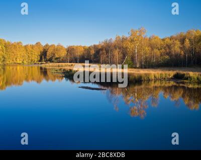 Europa, Deutschland, Hessen, UNESCO-Biosphärenreservat Rhön, Naturschutzgebiet Rotes Moor bei Gersfeld, Herbststimmung am Moorsee, Wasserspiegelung Stockfoto