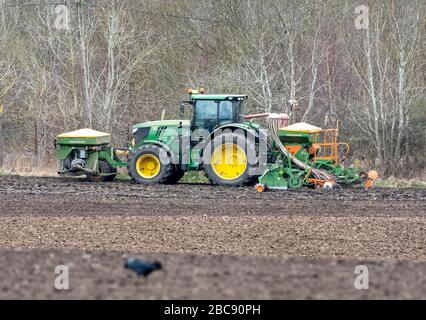 Ein Traktor, der vor der Aussaat den obersten Boden vorbereitet, East Calder, West Lothian, Schottland, Großbritannien. Stockfoto