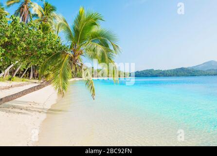 Tropischer Strand, Insel Nanuya Lailai, Inselgruppe Yasawa, Fidschi, Inseln im Südpazifik, Pazifik Stockfoto