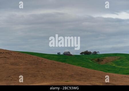 Schönes ländliches Zentraloregon, USA Stockfoto