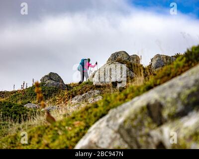 Trekking in Cantal, Vulkanberge in Frankreich, Wanderer auf dem Bergweg bei Plomb du Cantal (5 m), Departement Cantal, Auvergne-<unk> ône-Alpen, Frankreich Stockfoto