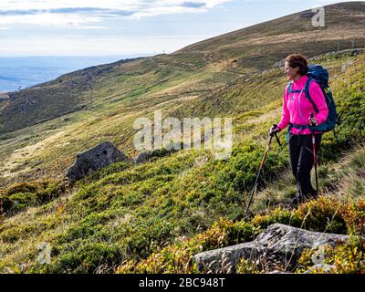 Trekking in Cantal, Vulkanberge in Frankreich, Wanderer auf dem Bergweg bei Plomb du Cantal (5 m), Departement Cantal, Auvergne-<unk> ône-Alpen, Frankreich Stockfoto