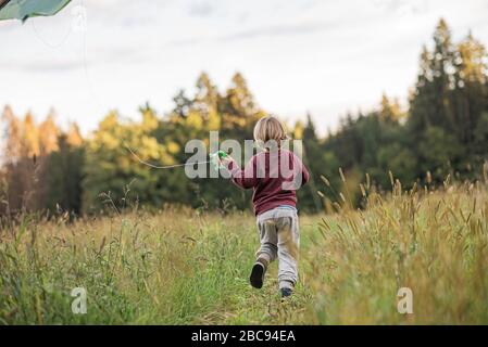 Blick von hinten auf einen kleinen Jungen, der durch die schöne Herbstwiese läuft, die einen Drachen fliegt. Stockfoto