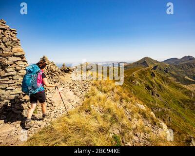 Trekking im Cantal auf dem GR 400, vulkanische Berge in Frankreich, enger Weg auf dem Puy Chavaroche. Im Hintergrund Puy Mary und Puy de la Tourte Stockfoto