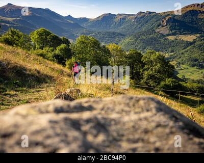 Trekking in den Kantalen, Vulkanbergen in Frankreich. Aufstieg auf der GR 400 vom Dorf Le Falgoux in Richtung Rocher de l'Aygue, im Hintergrund Stockfoto