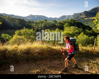 Trekking in den Kantalen, Vulkanbergen in Frankreich. Aufstieg auf der GR 400 vom Dorf Le Falgoux in Richtung Rocher de l'Aygue, im Hintergrund Stockfoto