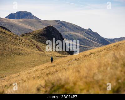 Trekking in den Kantalen, Vulkanbergen in Frankreich. Wanderer auf dem GR 400 auf einem schmalen Bergpfad über hohe Wiesen in der Nähe von Le Pas Rouge, des Bois Mary Stockfoto