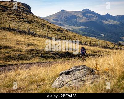 Trekking in den Kantalen, Vulkanbergen in Frankreich. Aufstieg auf der GR 400 vom Dorf Le Falgoux in Richtung Rocher de l'Aygue, im Hintergrund Stockfoto