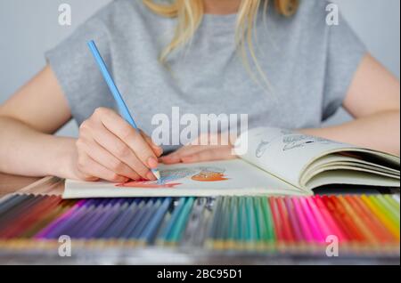 Porträt eines netten Mädchens mit bunten Bleistiften. Schöne Frau Stockfoto