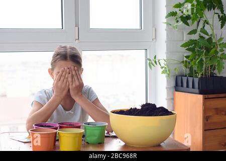 Mädchen in Selbstisolation zu Hause, die Samen in Töpfen Pflanzen Stockfoto