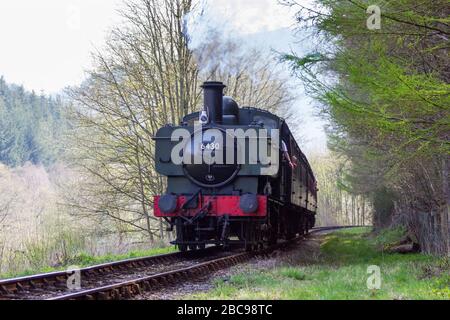 Eine Dampfeisenbahn auf der Llangollen-Bahn Stockfoto