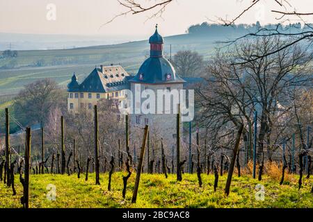 Schloss Vollrads bei Oestrich-Winkel, Prädikatsweingut im Rheingau, Blick vom Schlossberg aus, Wohnturm ist als Wasserburg errichtet, umgeben Stockfoto