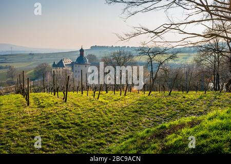 Schloss Vollrads bei Oestrich-Winkel, Prädikatsweingut im Rheingau, Blick vom Schlossberg aus, Wohnturm ist als Wasserburg errichtet, umgeben Stockfoto