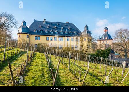 Schloss Vollrads bei Oestrich-Winkel, Prädikatsweingut im Rheingau, Wohnturm ist als Wasserburg errichtet, umgeben von Weinbergen, Stockfoto