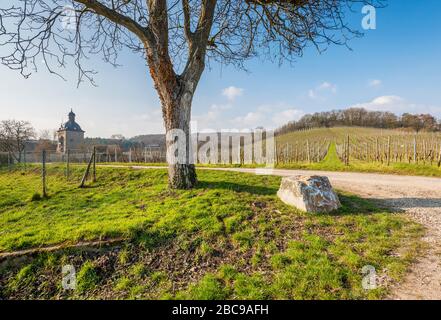 Weg zur Burg Vollrads bei Oestrich-Winkel, Prädikatsweingut im Rheingau, Blick auf den Schlossberg, der Wohnturm links ist als Moate errichtet Stockfoto