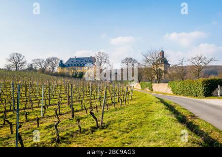 Schloss Vollrads bei Oestrich-Winkel, Prädikatsweingut im Rheingau, Wohnturm ist als Wasserburg errichtet, umgeben von Weinbergen, Stockfoto