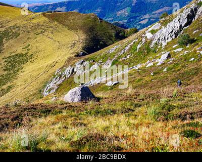 Mountainbikes auf einem einzigen Weg auf dem Roc d'Hoziéres. Abfahrt in Richtung Le Falgoux. Monts du Cantal, Massif Central, Cantal France Stockfoto