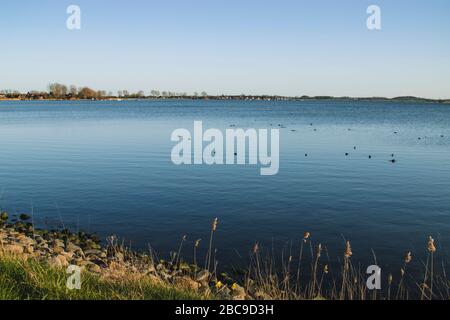 Sappiergang in Maasholm an der Schleife. Stockfoto