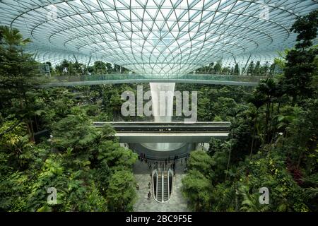Singapur-30 August 2019: Der Juwel Changi Airport ist ein neues Terminalgebäude unter einer Glaskuppel mit Wasserfall und tropischem Wald, Einkaufszentren Stockfoto