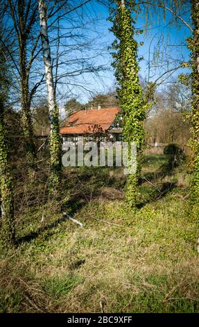 Blick auf das verlassene Haus durch den mit Sonnenlicht beleuchteten unerschreckenden Wald Stockfoto