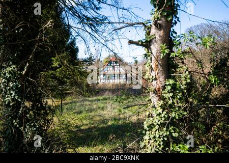 Blick auf das verlassene elsässische Haus, das durch den mit Sonnenlicht beleuchteten unerschrossenem Wald gesehen wird Stockfoto