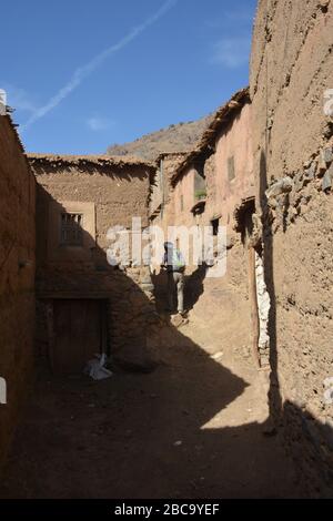 Ein marokkanischer Reiseführer führt den Weg auf eine Wanderung im Ait Mizane / Imlil Tal im Hohen Atlas, Marokko. Stockfoto