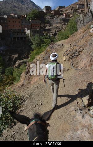 Ein marokkanischer Reiseführer führt den Weg auf eine Wanderung im Ait Mizane / Imlil Tal im Hohen Atlas, Marokko. Stockfoto