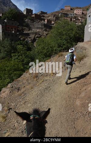 Ein marokkanischer Reiseführer führt den Weg auf eine Wanderung im Ait Mizane / Imlil Tal im Hohen Atlas, Marokko. Stockfoto