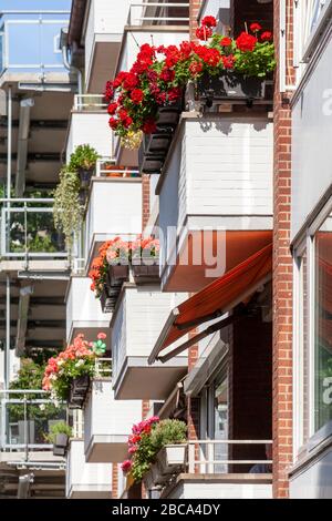 Balkone mit Blumenkästen, Häuserzeile, Reihenhäuser, Wohnhäuser, Contrescarpe, Bremen, Deutschland, Europa Stockfoto