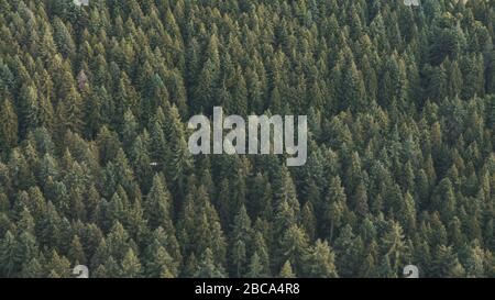Wunderschöne kanadische Natur voller Berge, Wälder und Seen rund um Vancouver City Stockfoto
