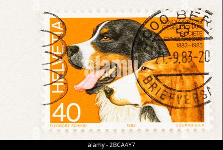 SEATTLE WASHINGTON - 3. April 2020: Nahaufnahme der Schweizer Briefmarke zur Erinnerung an das hundertjährige Jubiläum des Swiss Kennel Club 1983. Scott # 741. Stockfoto