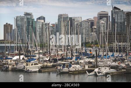 Der Hafen liegt im Stanley Park Stockfoto