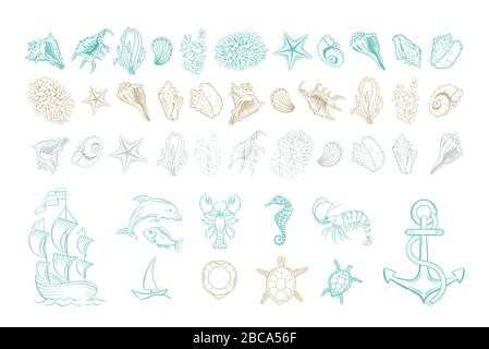 Marine Line Art Vektor-Ikonen von Meeresschalen, Anker und Weichtieren. Handgezeichnetes Schraffurdesign aus Meeresseeseashell, Seepferdchen, Delfinfischen und Schildkröten, Anker und Boje, Korallen, Garnelen und Yacht Stock Vektor