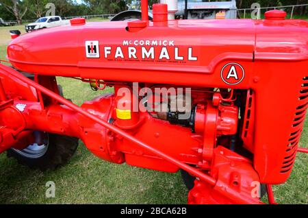 Nahaufnahme von 1946 International 16hp Traktormodell Farmall 'A' Stockfoto