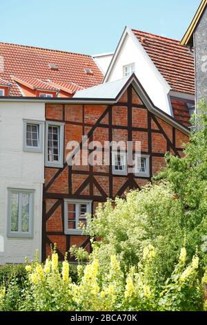 Schelfstadt mit Fachwerk, Mecklenburg-Vorpommern, Deutschland, Europa Stockfoto