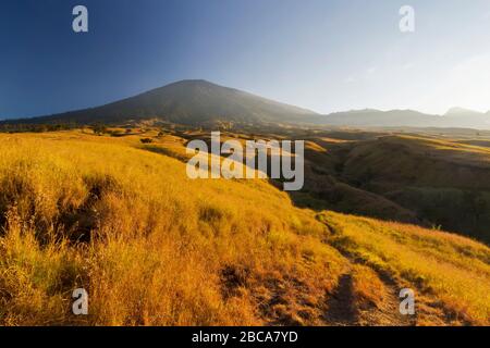 Mount Rinjani Wanderweg von Sembalun Dorf, eine Aussicht an einem Sommernachmittag Stockfoto