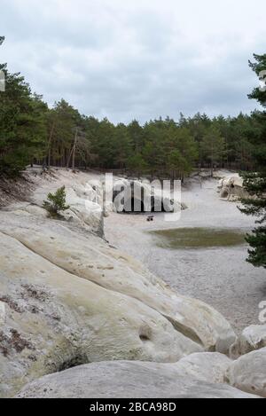 Deutschland, Sachsen-Anhalt, Blankenburg, Blick auf die Sandhöhlen in den Heers, einem Waldstück unterhalb der Burg Regenstein. Stockfoto