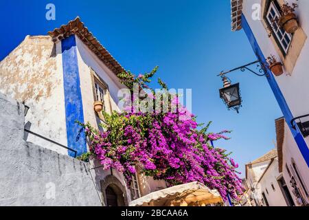 Europa, Portugal, Estremadura, Region Centro, Obidos, Vila das Rainhas, Stadt der Königinnen, Blumenarrangements in der Rua Direita Stockfoto