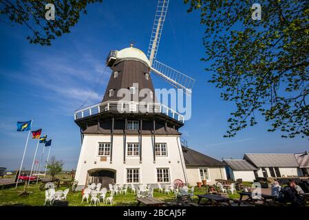 Schweden, Oland Island, Sandvik, Sandvikskvarn, große Holzwindmühle Stockfoto