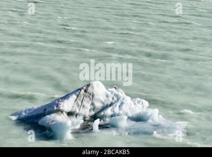 Schmelzendes Eis im Hooker Glacier, Mount Cook National Park in Neuseeland Stockfoto