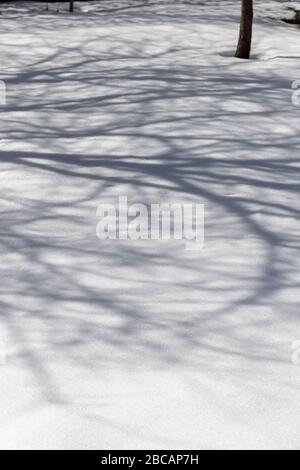 Ein Spiel der Schatten auf der Oberfläche von frisch gefallenen Schnee im Hinterhof. Stockfoto