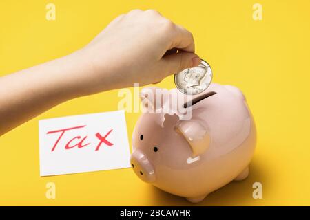 Die Hand eines Kindes senkt einen halben Dollar in eine piggy Bank. Konzept zur Einsparung von Geld für die Steuerzahlung. Stockfoto