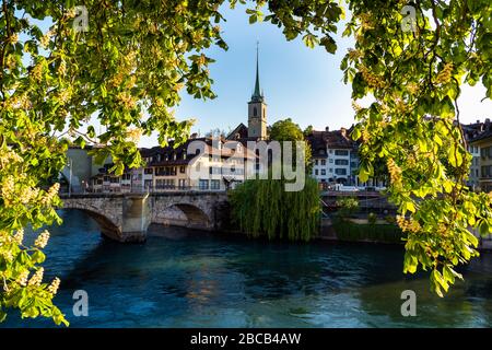 Aare, Nydeggbrücke und Nydeggkirche in der Altstadt von Bern. Stockfoto