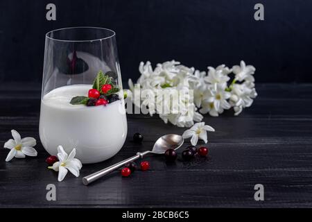 Hausgemachter Joghurt in einem hohen Glas auf dunklem Hintergrund. Garniert mit Minze und Preiselbeeren. Gesunde Ernährung. Vegetarisches Essen. Kopierbereich Stockfoto